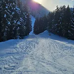 Daire Four Seasons Bansko