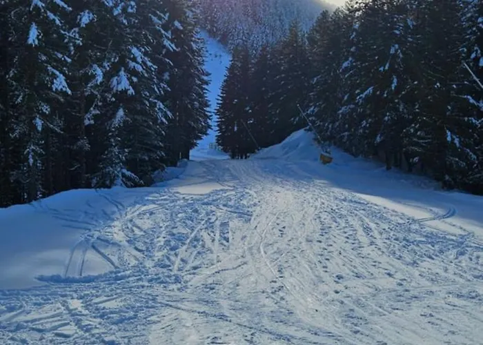 Apartment Four Seasons Bansko